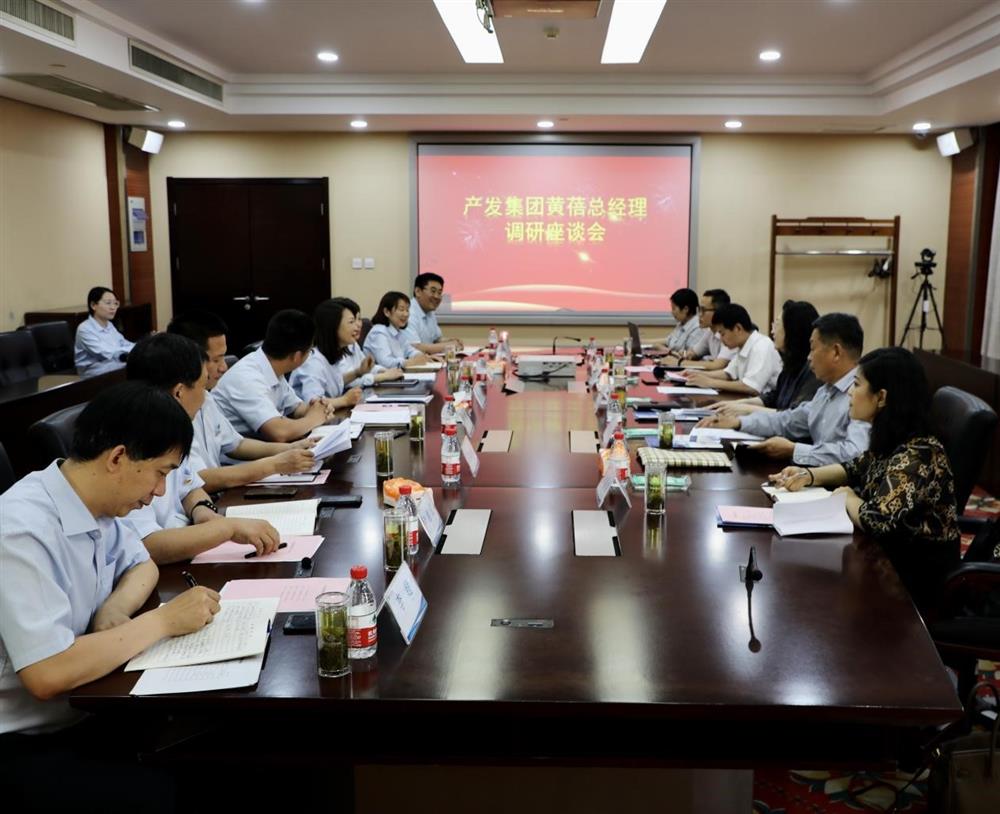 集團黨委副書記、總經(jīng)理黃蓓帶隊調(diào)研濟南市工程咨詢院