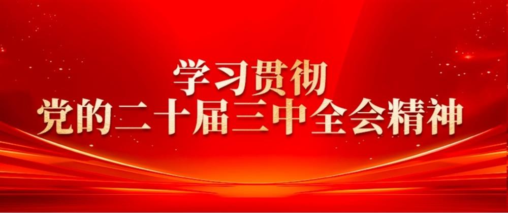 學(xué)習(xí)貫徹黨的二十屆三中全會精神③ 濟(jì)糧集團(tuán)黨委書記、董事長王暉： 提升綠色倉儲水平，扛穩(wěn)糧食安全重任